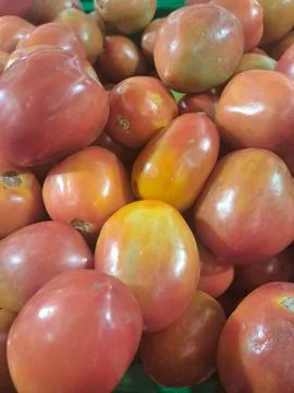 Fresh Tomato Stock Photos