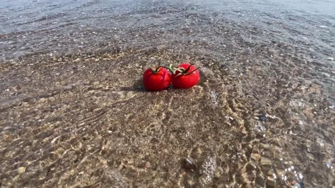 Fresh Tomato on Sandy Beach with Gentle Sea Waves in Summer Sunlight Stock Footage 340517761