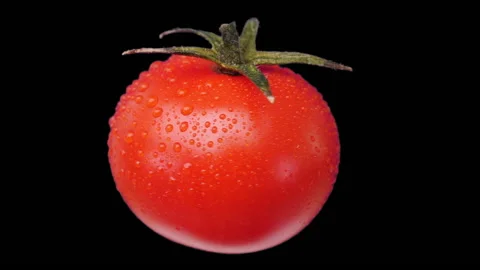 Fresh tomato spin and float, seamless loop - isolated, alpha channel included Video stock 138822916
