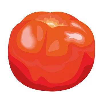 Fresh tomatoe vegetable Illustrazione stock