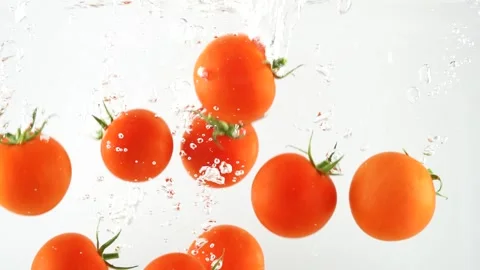 Fresh Tomatoes 02 Stock Footage 158288840