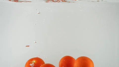 Fresh Tomatoes 03 Stock Footage 158289292