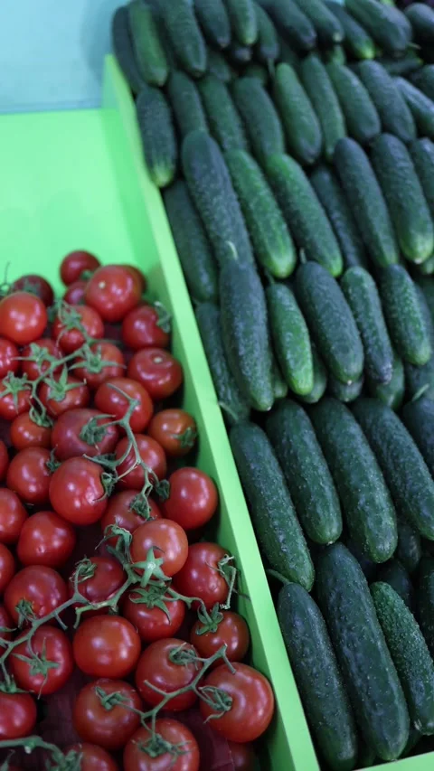 Fresh tomatoes and cucumbers on display Stock Footage 331023768