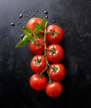 Fresh tomatoes and a leaf on a black baking tray Stock Photos