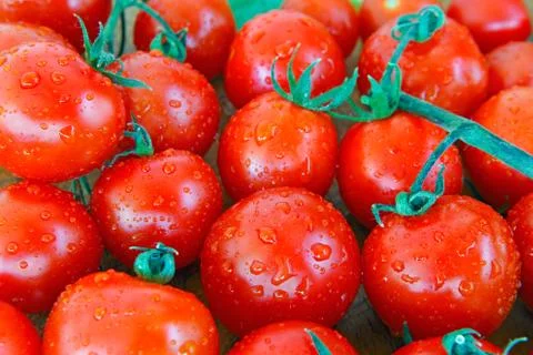 Fresh tomatoes background Foto stock