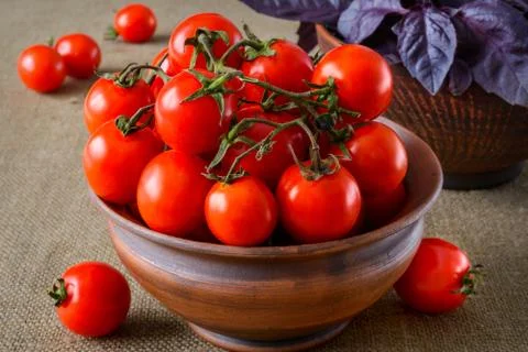 Fresh tomatoes with basil Stock Photos