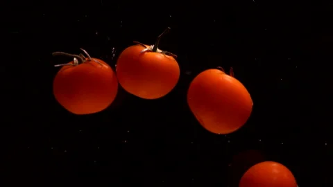 Fresh tomatoes on black background Stock Footage 151863268