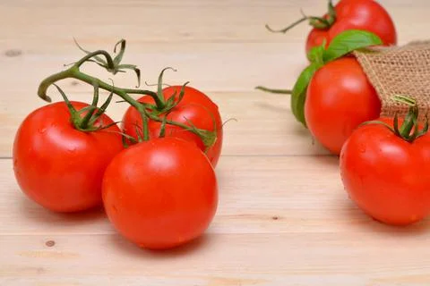 Fresh tomatoes on a branch close-up on the table Stock Photos