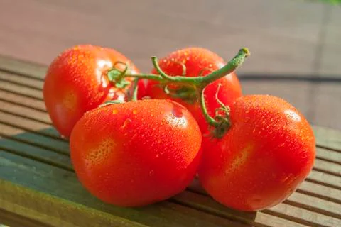 Fresh tomatoes close-up Stock Photos