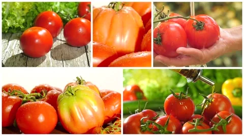 Fresh tomatoes collage 스톡 동영상 42579754