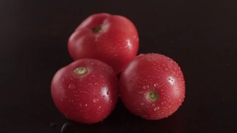 Fresh tomatoes covered with dew Stock Footage 115638993
