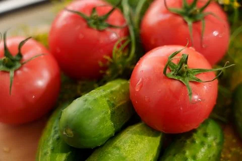 Fresh tomatoes with cucumbers. Fotos de archivo