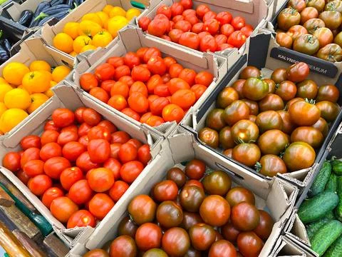 Fresh tomatoes displayed in cardboard boxes at farmers market Stock Photos