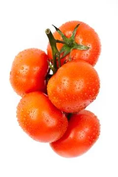 Fresh tomatoes with drops of dew Stock Photos
