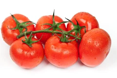 Fresh tomatoes with drops of dew Stock Photos