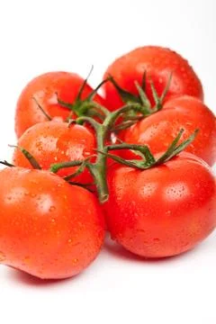 Fresh tomatoes with drops of dew Stock Photos