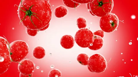 Fresh tomatoes falling with water drops. Food concept. Isolate with alpha matte Stock Footage 69049397
