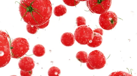 Fresh tomatoes falling with water drops. Food concept. Isolate with alpha matte Stock Footage 69052076