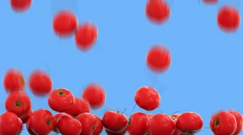 Fresh tomatoes falling with water drops. Food concept. Isolate with alpha matte Stockbeeldmateriaal 69053762