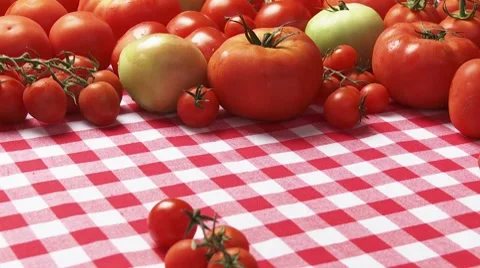 Fresh tomatoes Stock Footage 8572359