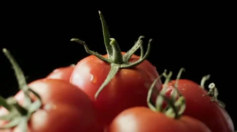 Fresh Tomatoes 스톡 동영상 11952700