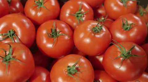 Fresh tomatoes Stock Footage 32401678