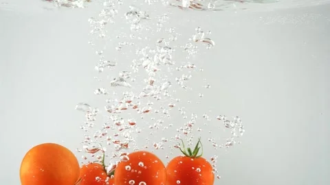 Fresh Tomatoes Stock Footage 158288866