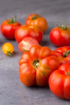 Fresh tomatoes in the foreground with copyspace Stock Photos