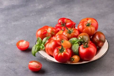 Fresh tomatoes in the foreground with copyspace 写真素材