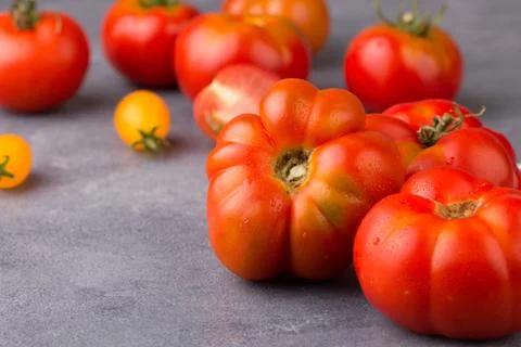 Fresh tomatoes in the foreground with copyspace Stock Photos