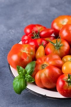 Fresh tomatoes in the foreground with copyspace Stock Photos