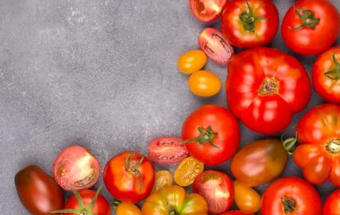 Fresh tomatoes in the foreground with copyspace 库存照片