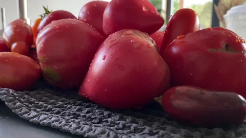 Fresh Tomatoes Gathered on Cozy Kitchen Table Видео 343864839