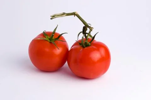 Fresh tomatoes isolated on white background Stock Photos