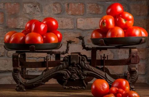 Fresh tomatoes on old scale Stock Photos