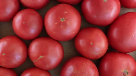 Fresh Tomatoes Packed in a Box. Top View. Slider Shot. Stock Footage 294550957