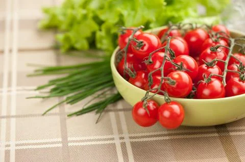 Fresh tomatoes Stock-Fotos