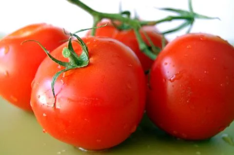 Fresh tomatoes Photos