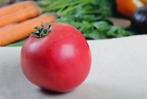 Fresh tomatoes Stock Photos