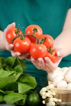 Fresh tomatoes Stock Photos