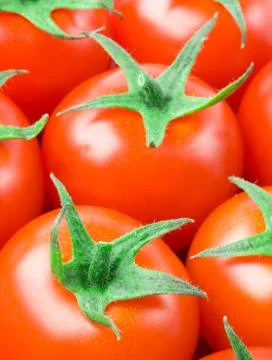 Fresh tomatoes Stock Photos