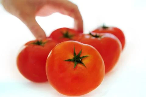 Fresh tomatoes Foto stock