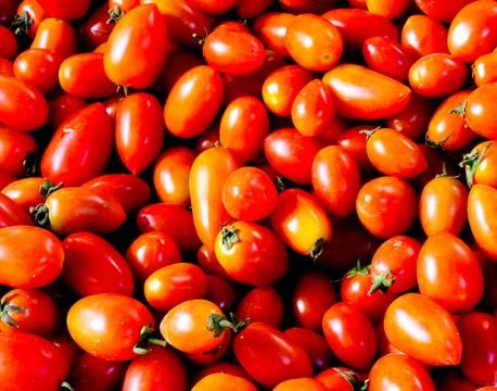 Fresh  tomatoes. Stock Photos