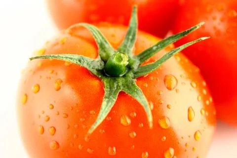 Fresh tomatoes Stock Photos