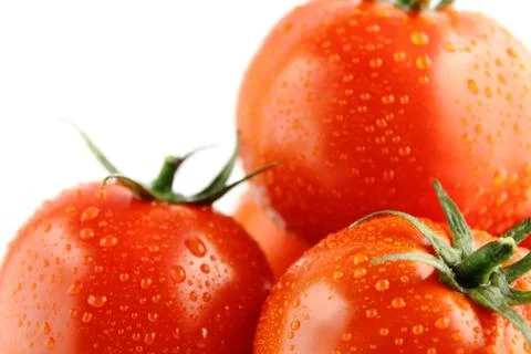 Fresh tomatoes Stock Photos