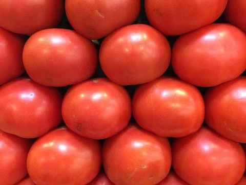 Fresh tomatoes Stock Photos