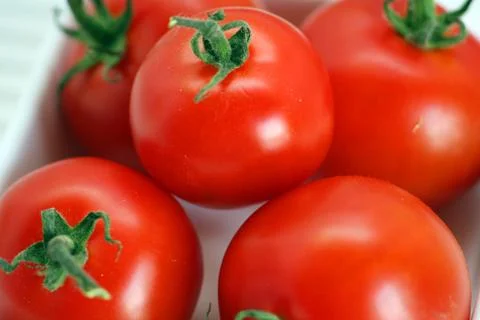 Fresh tomatoes Stock Photos