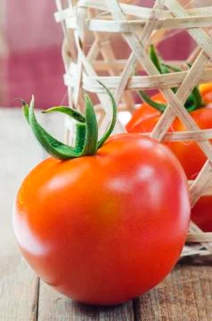 Fresh tomatoes Stock Photos