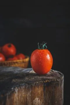 Fresh tomatoes Stock-Fotos