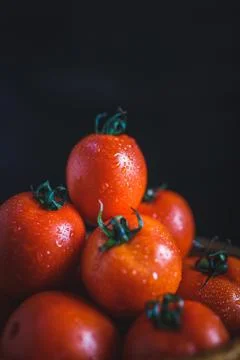Fresh tomatoes Stock-Fotos